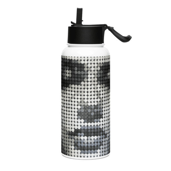 Stainless steel water bottle with a straw lid: 832 spi