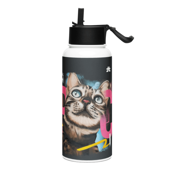 Stainless steel water bottle with a straw lid: SEPC