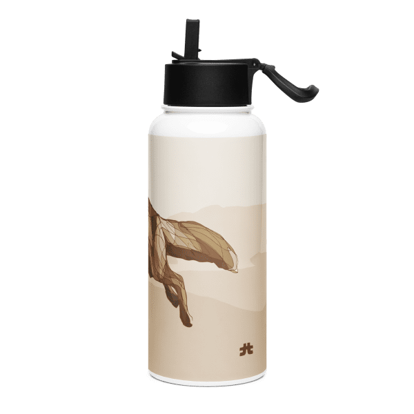 Stainless steel water bottle with a straw lid: El zorrico de Farlete
