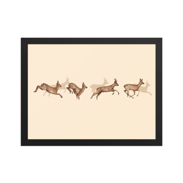 Framed matte paper poster: Corzos de la Dehesa