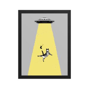 Framed matte paper poster: The invasion