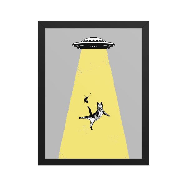 Framed matte paper poster: The invasion