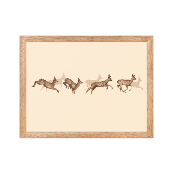 Framed matte paper poster: Corzos de la Dehesa - Image 2