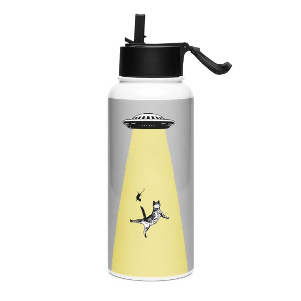 Stainless steel water bottle with a straw lid: The invasion