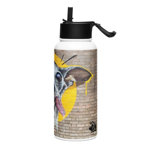 Stainless steel water bottle with a straw lid: Tongue Out Tuesday