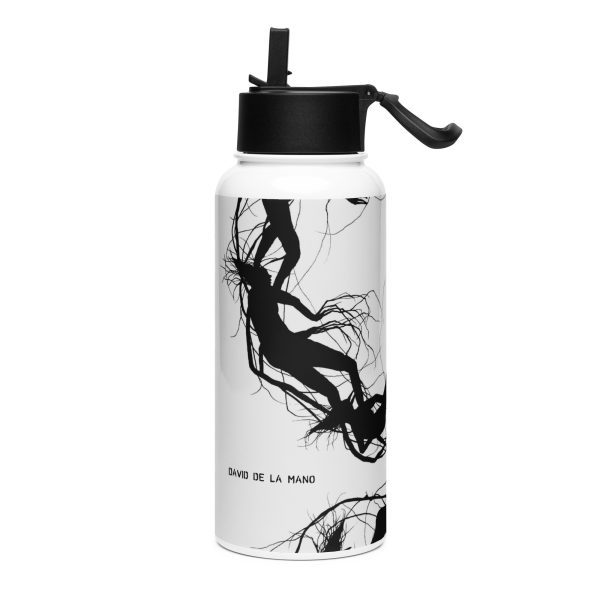Stainless steel water bottle with a straw lid: Constellation