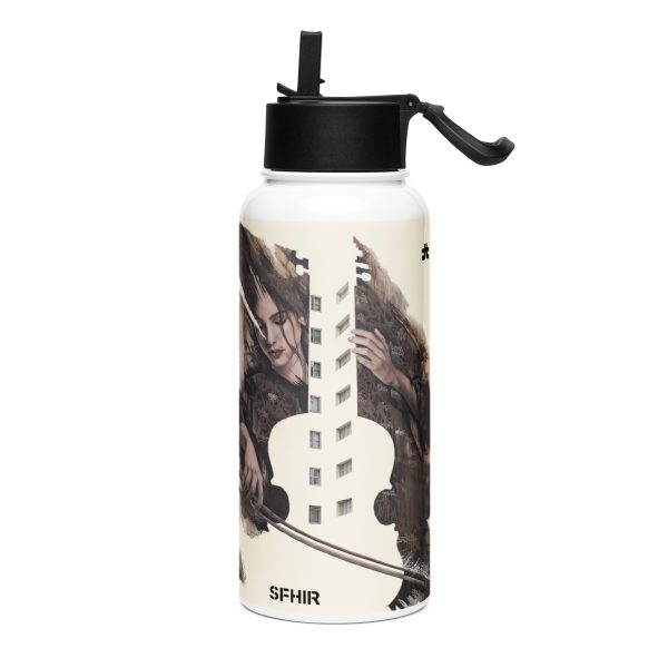 Stainless steel water bottle with a straw lid: Fene