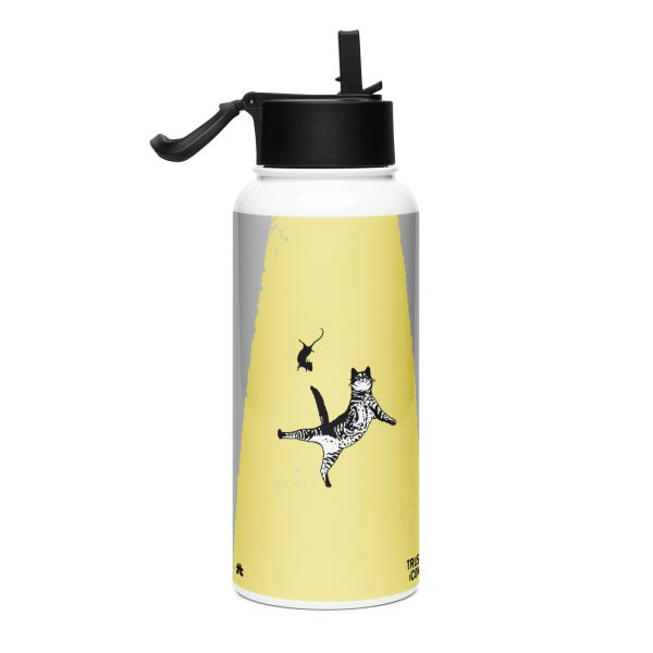 Stainless steel water bottle with a straw lid: The invasion - Image 2