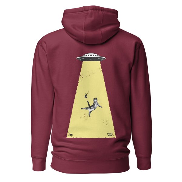 Unisex Hoodie: The invasion - Image 5