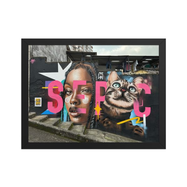 Framed matte paper poster: SEPC
