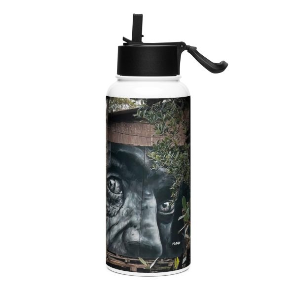 Stainless steel water bottle with a straw lid: Palafitas
